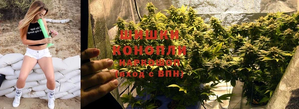 каннабис Арсеньев