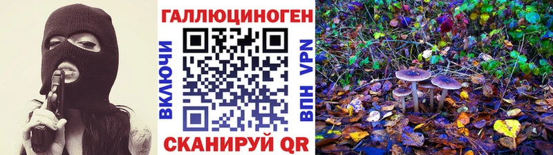 блэк спрут ССЫЛКА Валуйки Псилоцибиновые грибы Cubensis