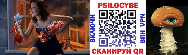 Галлюциногенные грибы Cubensis Валуйки