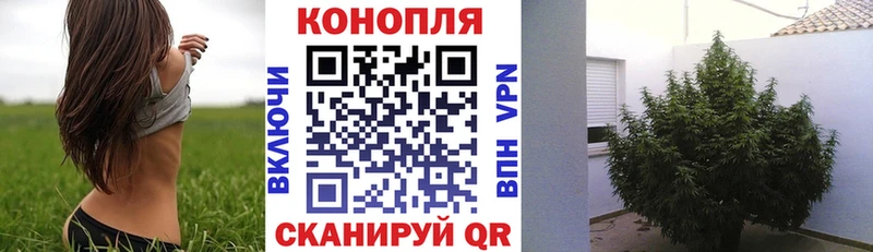 Шишки марихуана конопля  Валуйки 